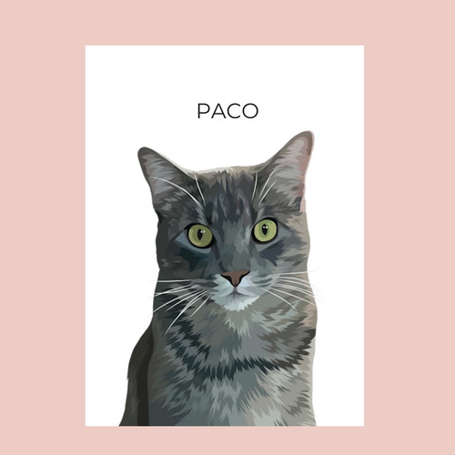 Retrato / Ilustración Digital De Tu Mascota (perros/gatos)