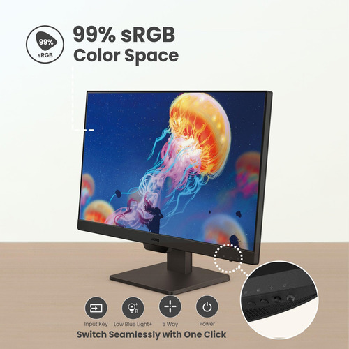 Monitor De Computadora Benq Gw 100hz Fhd 1920x1080p | Ips |