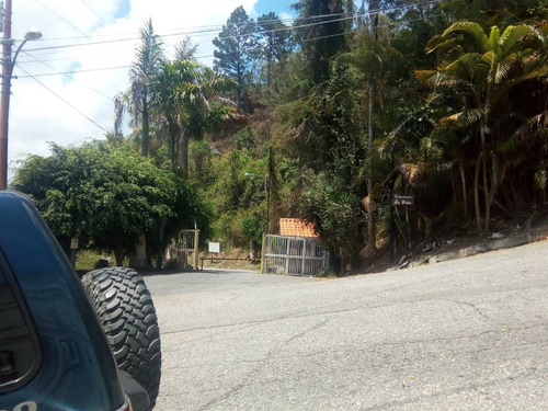 Imagen 9 de 14 de En Venta Terreno De 750m2 Urb La Peña El Faro San Antonio