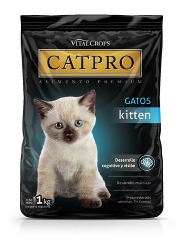 Catpro Gatitos Kitten 1k - Petit Pet Shop