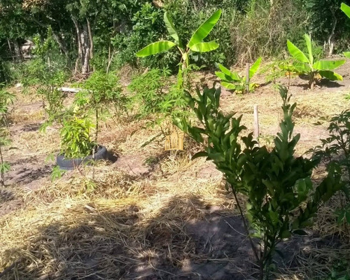 Imagem 17 de 18 de Sitio Em Esmeraldas - St00078 - 68311105
