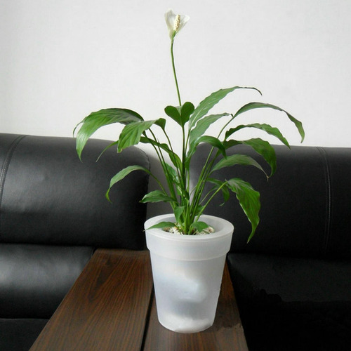 Imagen 4 de 12 de Lámpara Solar Para Maceta, Florero De Plástico Impermeable