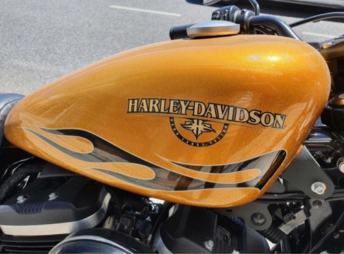 Imagen 8 de 10 de Harley Davidson