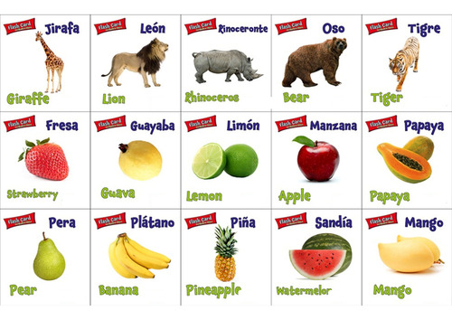Flash Cards, Vocabulario 90 Pzas Español /ingles