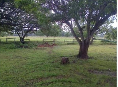 Imagen 2 de 14 de Finca En Venta En Edo. Barinas, Arismendi