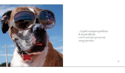 Livro Um Tratamento De Amigo