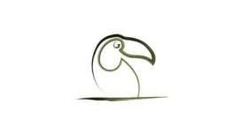 Alma Amazônica