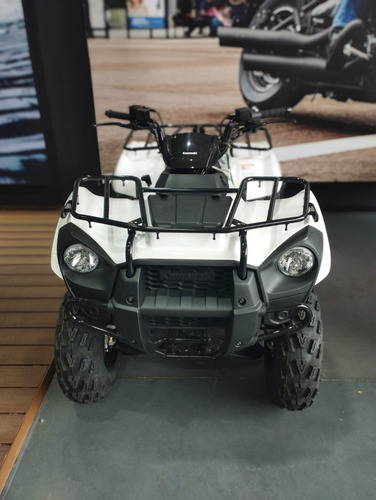 Imagen 9 de 15 de Kawasaki Brute Force 300