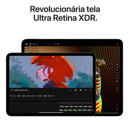 iPad Pro 13 Wi-fi + Cellular 2tb - Prateado