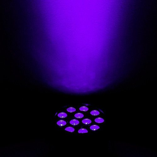 Luz Negra Par Mini Uv Led Ultravioleta 12w Dmx Adj Strobe