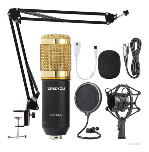 Microfono Condensador Profesional Bm800+ Soporte Filtro W01