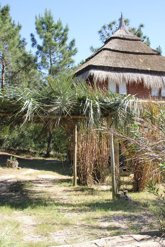 Imagen 3 de 14 de Casa En El Bosque De Santa Isabel De La Pedrera (4 Personas)