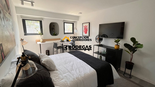 Departamento Studio Santiago Sector Metro Matta