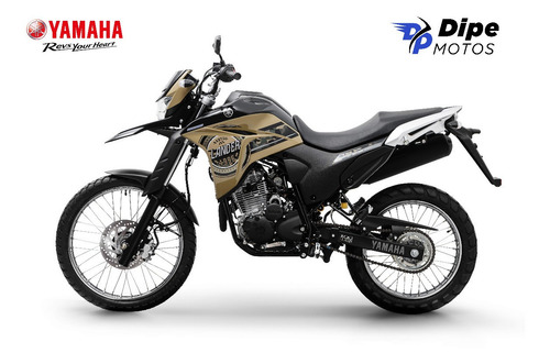 Imagem 4 de 5 de Yamaha Xtz 250 Lander Abs 2022 - Dipe Motos
