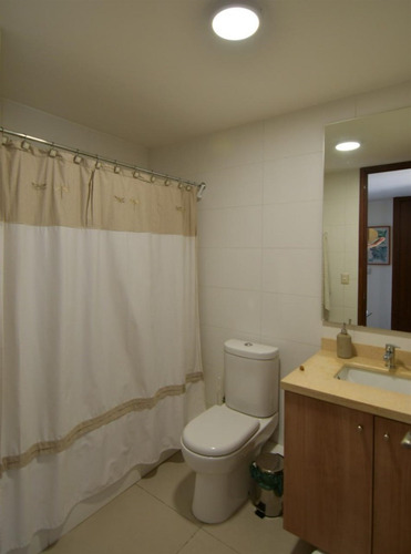 Departamento 3 Dorm Con Vista, Fco De Asis Con Costanera Sur