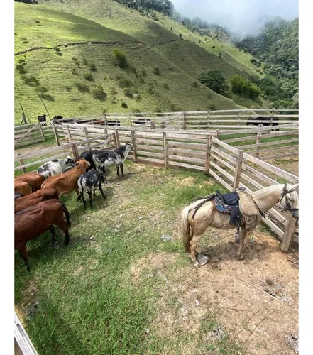 Se Vende Finca Naranjal - Roldanillo