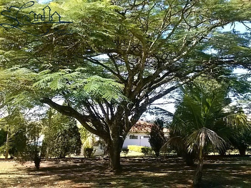 Imagem 13 de 30 de Sitio Para Comprar Em Itatiba, Sitio A Venda Em Itatiba, Venda De Sitio Em Condomínio, Comprar Sitio Em Itatiba, Sitio Para Vender Em Itatiba, Imobili - Ch00057 - 34433047