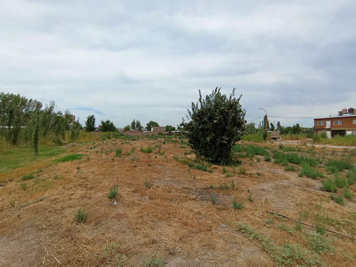 Terreno En  Portugal Sn, Cinco Saltos