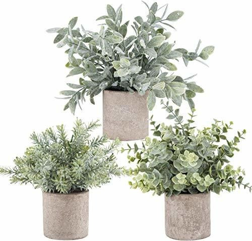 Der Rose Paquete De 3 Mini Plantas Falsas En Macetas Plantas