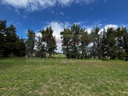 Lotes De 833 M2 (16,66 X 50) En Venta. - Dentro De Barrio Cerrado La Mina - General Belgrano. No Abona Expensas. Excelente Ubicación.