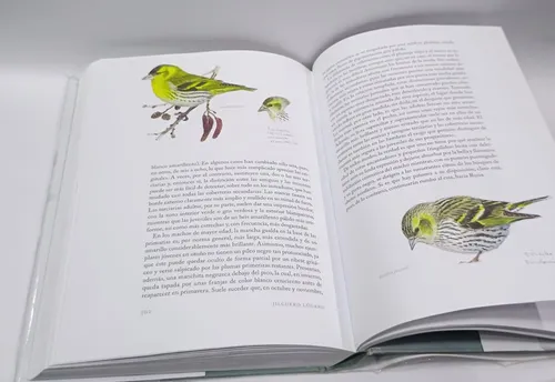 Aves Que Veo En Invierno - Lars Jonsson (Usado)