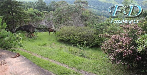 Imagem 13 de 29 de Sítios À Venda Em Atibaia/sp - Compre O Seu Sítios Aqui! - 1373358
