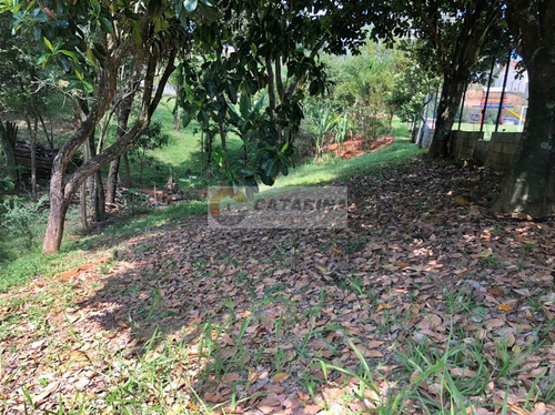 Imagem 5 de 14 de Terreno Em Condominio