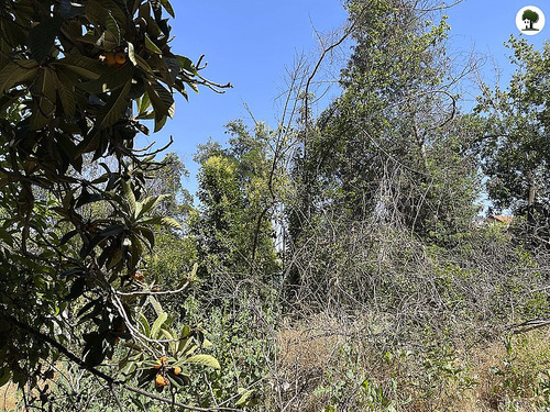 Sitio Para Proyecto Inmobiliario En La Reina