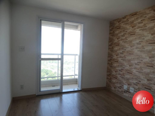 Imagem 1 de 30 de Apartamento - Ref: 117170