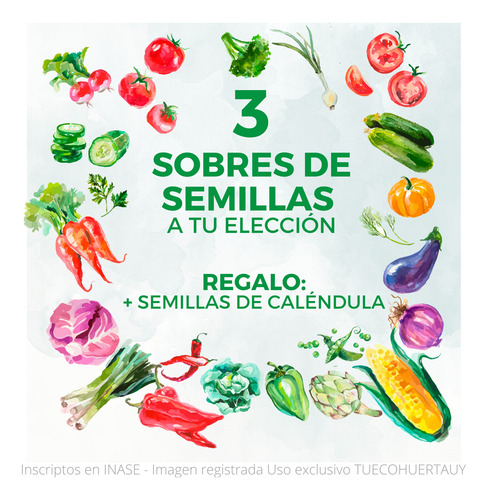 Imagen 1 de 1 de Pack De Semillas Huerta Y Aromáticas - Elegí Las Que Quieras