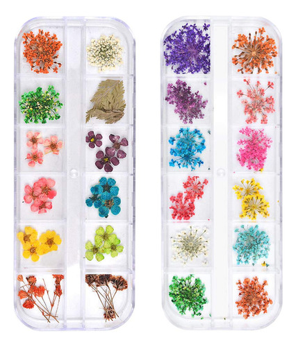 Teoyall 24 Colores De Flores Secas Para Arte De Uas, 2 Cajas