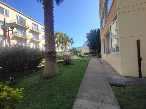 Venta Departamento 4d, 3b En 4 Norte Con Poniente Viña