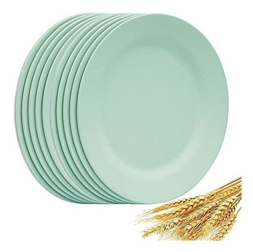 Platos - Set Of 10 Large Dinner Plates 11 Inch, Reusable Whe