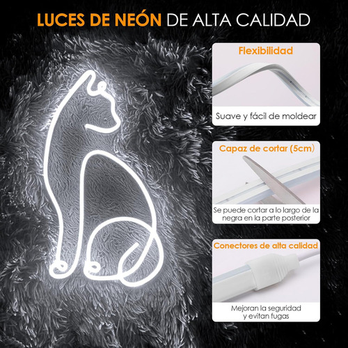 Kit Manguera Luz Neon 5 Mts + Fuente + Ficha 12v Exterior Interior Resiste Al Agua Luminoso Flexible Levys Bazar Blanco Frío