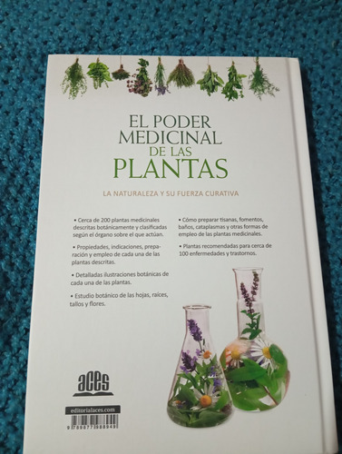 Detalladas Ilustraciones Botánicas De Cada Una Delas Plantas
