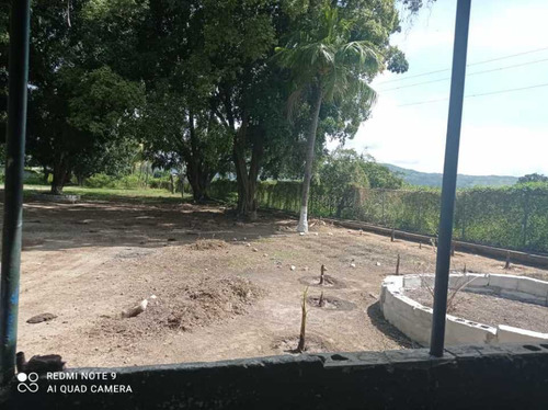 Imagen 8 de 17 de Finca De 12 Hectareas De Gallinas Ponedoras En Villa De Cura