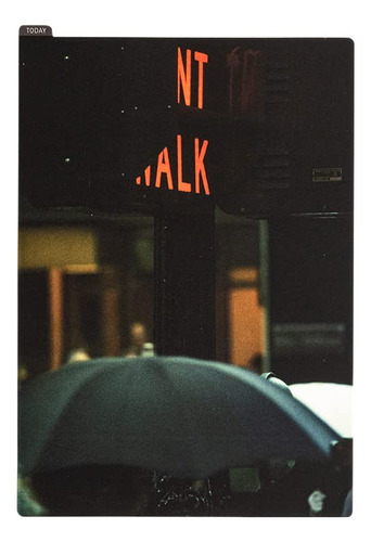 Hobonichi Techo Accesorio Tablon Lapiz (salto Saul Leiter)