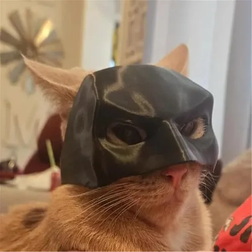 Sombrero De Cosplay De Mascara De Batman Disfraz Para Gato