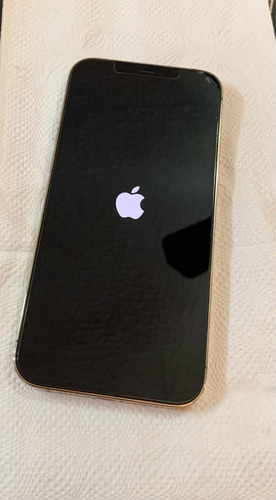 iPhone 12 Pro Max Color Oro (Usado)