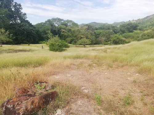 Finca Ganadera Con Nacimiento De Agua Propio