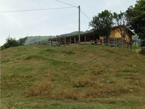 Venta Finca El Limonar Ebéjico