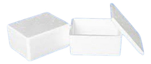 Caixa Caixinha De Isopor Termico Pequena 1kg C/3un