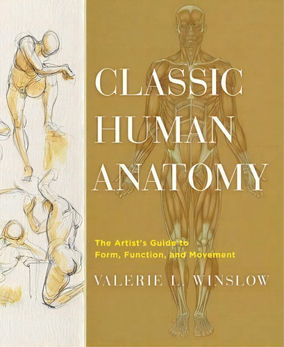 Classic Human Anatomy : Designing Transformative Yoga Classes, De Valerie L. Winslow. Editorial Watson-guptill Publications, Tapa Dura En Inglés