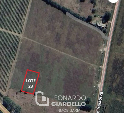 Lote 23 Viñas De Carmelo