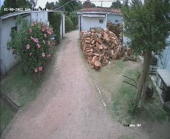 Imagen 2 de 5 de Talado Y Poda De Árboles