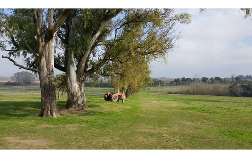 Imagen 3 de 30 de Campo De 59 Has Sobre Ruta, Con Casco, Casa De Invitados, Galpones Y Dependencias