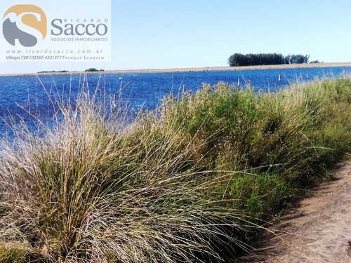 Chacra En Venta En Distrito De #trenquelauquen