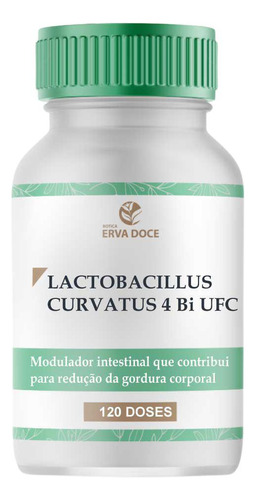 Lactobacillus Curvatus 4 Bilhões Ufc 120 Capsulas