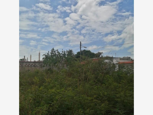 Imagen 4 de 14 de Venta Terreno Del Bosque