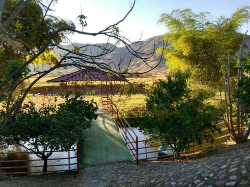 Imagen 9 de 23 de Rancho Las Buganvilias! Dream Opportunity!